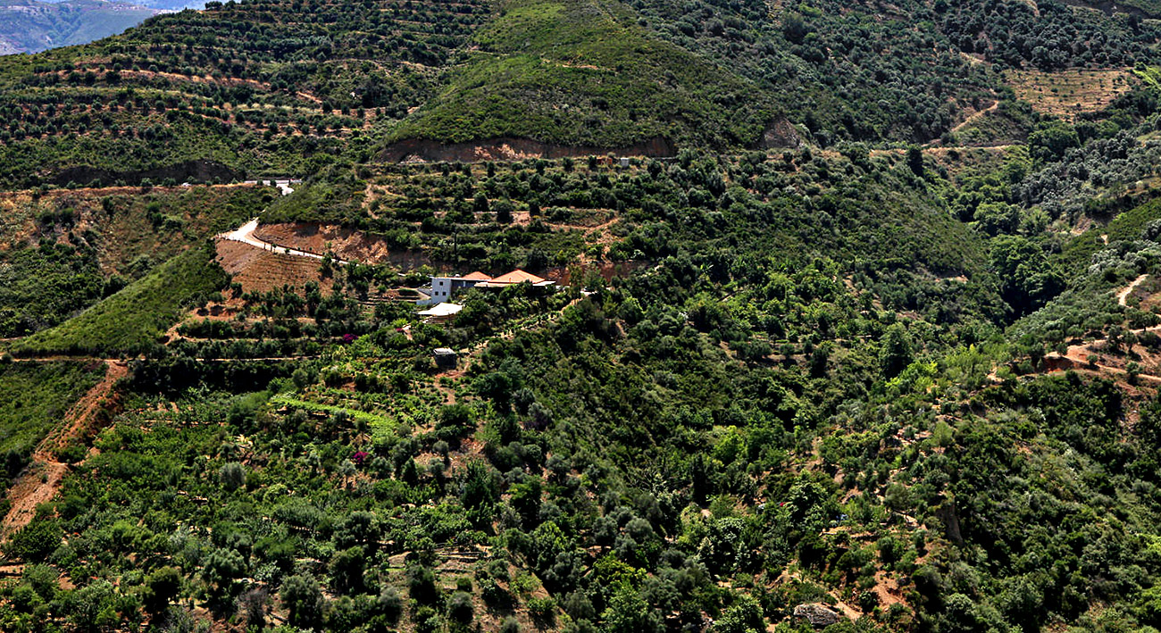 Botanical Park Chania