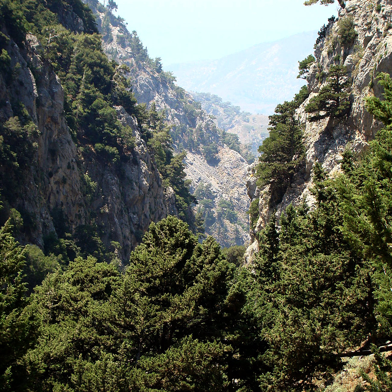 Agia Irini Gorge-Sougia