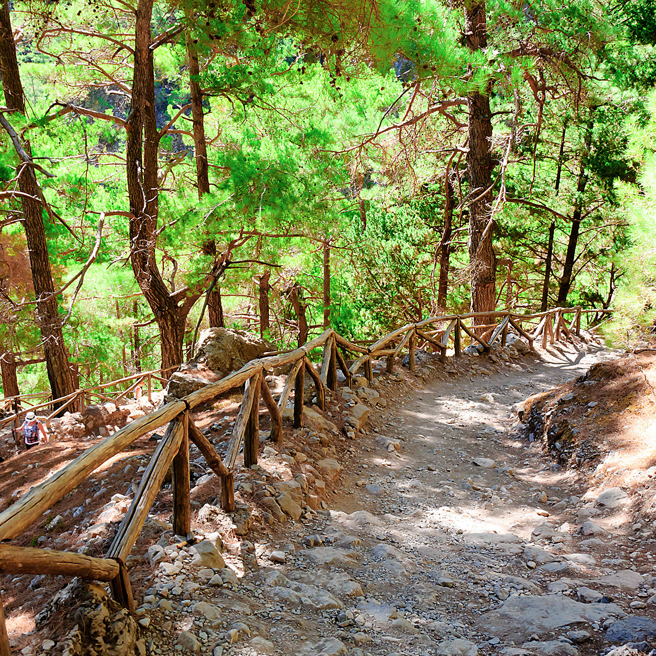 Omalos, Samaria Gorge, Seliniotikos Gyros